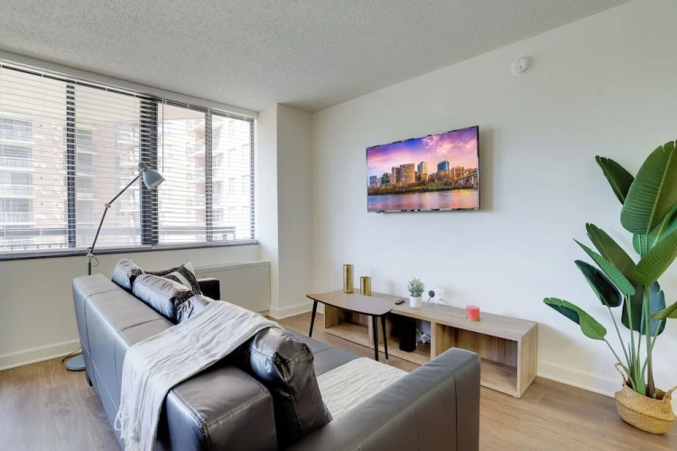 1 Bedroom Comfort Apartment with balcony and with park view