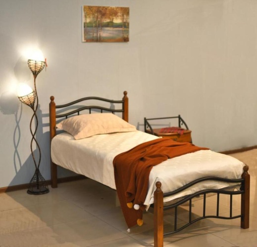 Standard Double room with mountain view