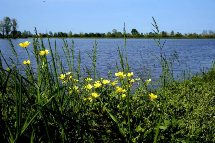 Villa Peschiera