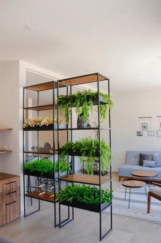 Double Apartment
