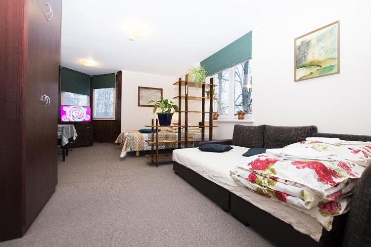 Standard Family room