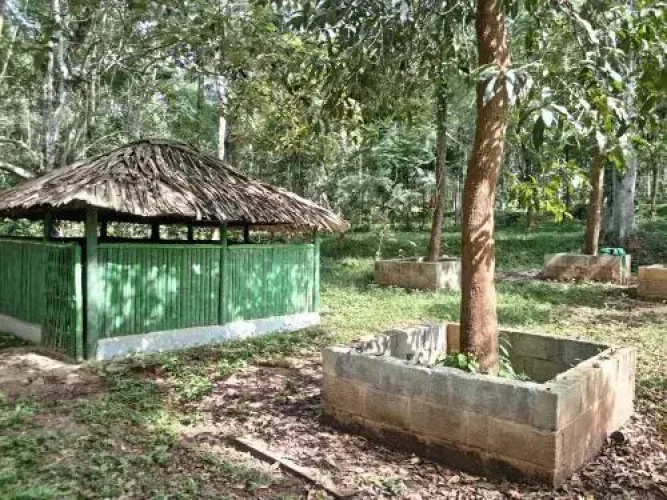 Wayanad Lux Inn
