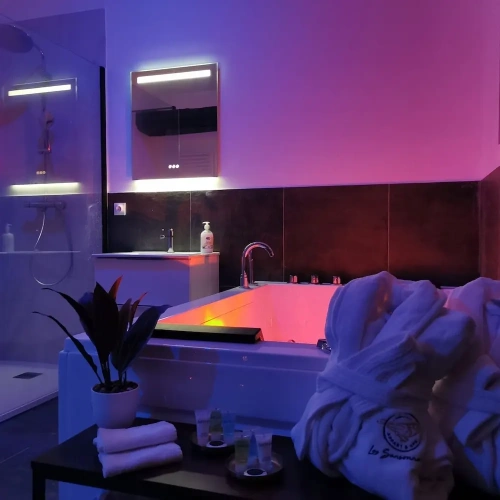 Luxury Apartment