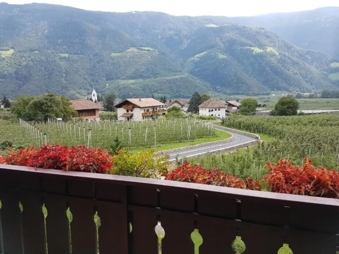 Standard Double room with balcony and with mountain view