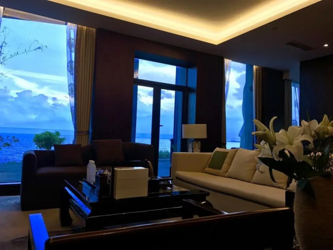 Artsy Habitat Mansion