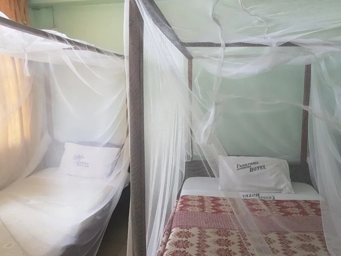 Deluxe Twin room with city view