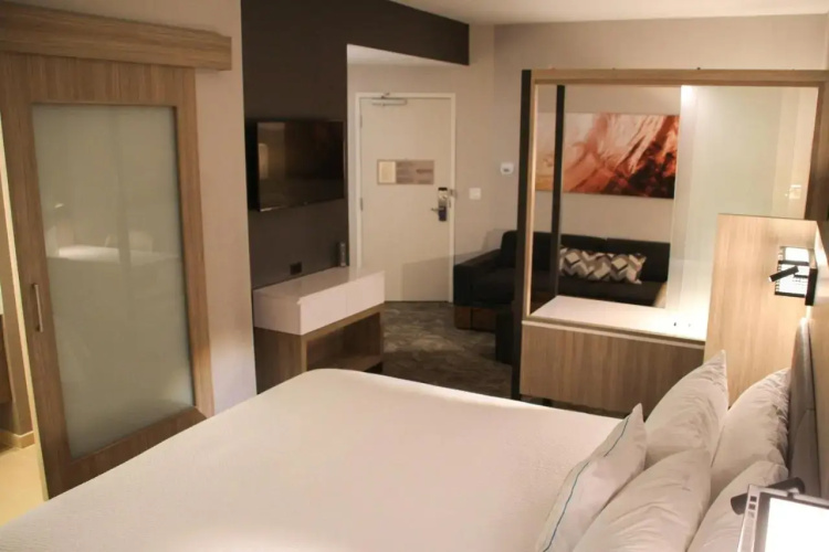 Springhill Suites By Marriott Baltimore White Marsh/middle River