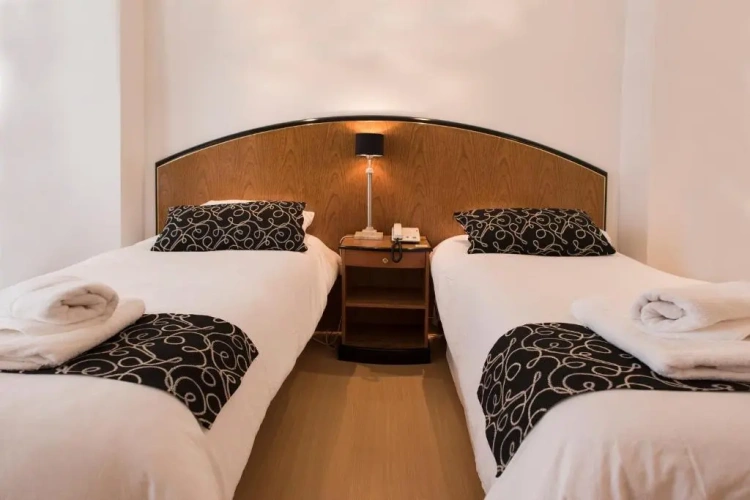 Standard Twin room with garden view