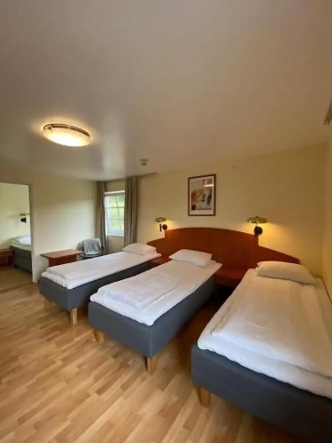 Standard Family room