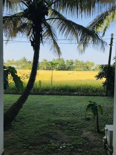 Deluxe Double room with balcony and with garden view