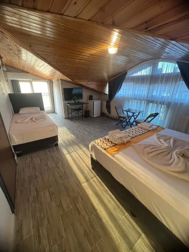Standard Double Family room with pool view