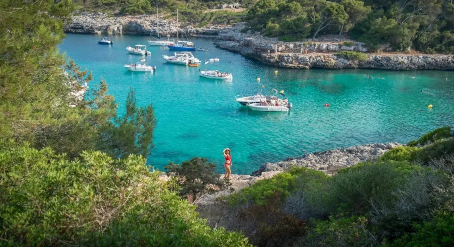 Selva-3834 Mallorca