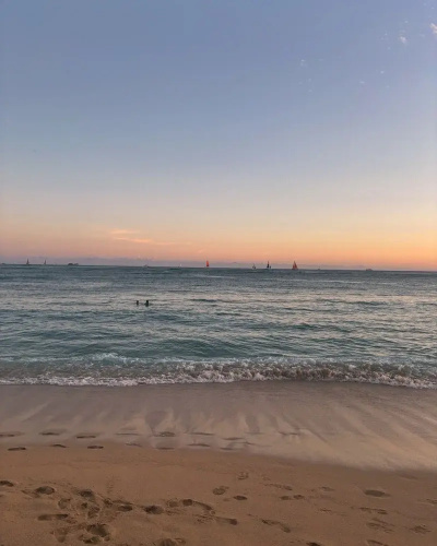 Sip And Sea