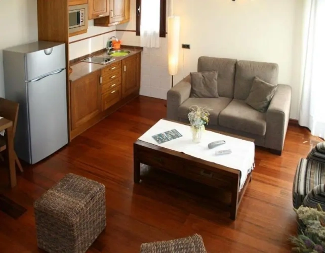 1 Bedroom Apartment