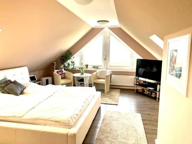 Double Attic Apartment with lake view