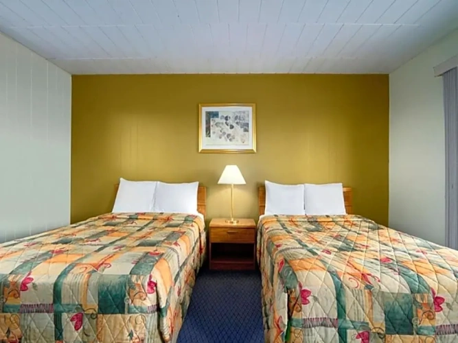 Standard Double room with view