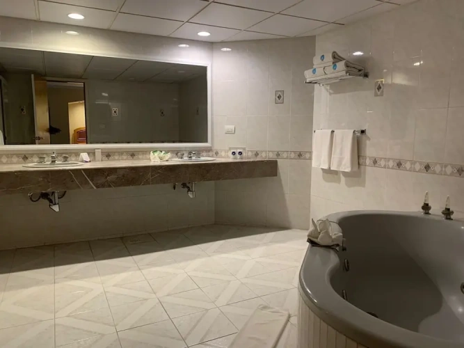 1 Bedroom Luxury Suite