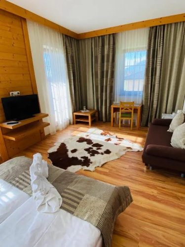 Vila Mlynica