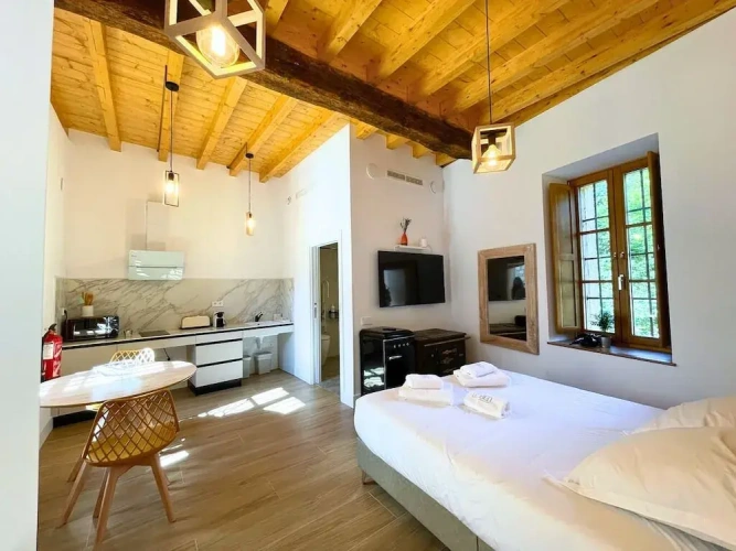Double Club Studio with river view