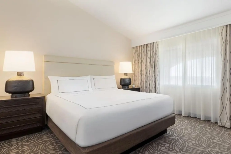 1 King Bed Suite