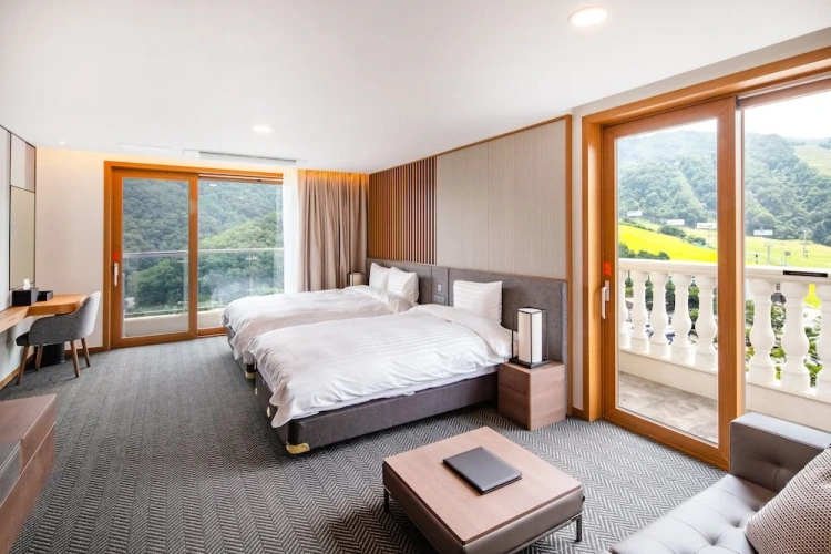 Deluxe Double room with park view