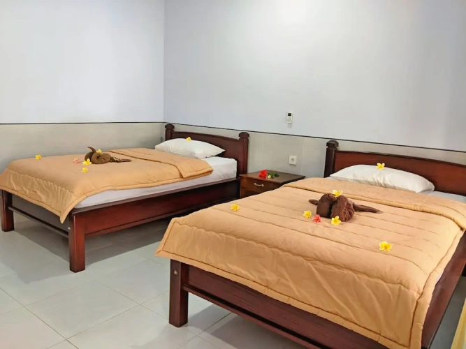 Deluxe Twin room with balcony and with view