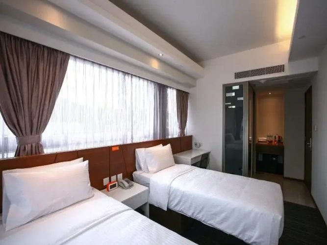 Superior Twin room with city view