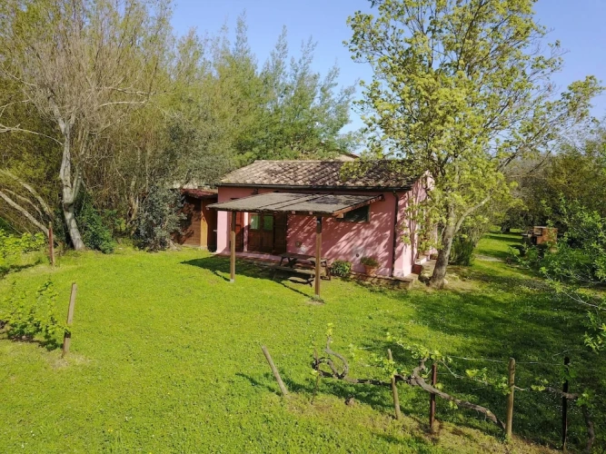 1 Bedroom Comfort Apartment with garden view