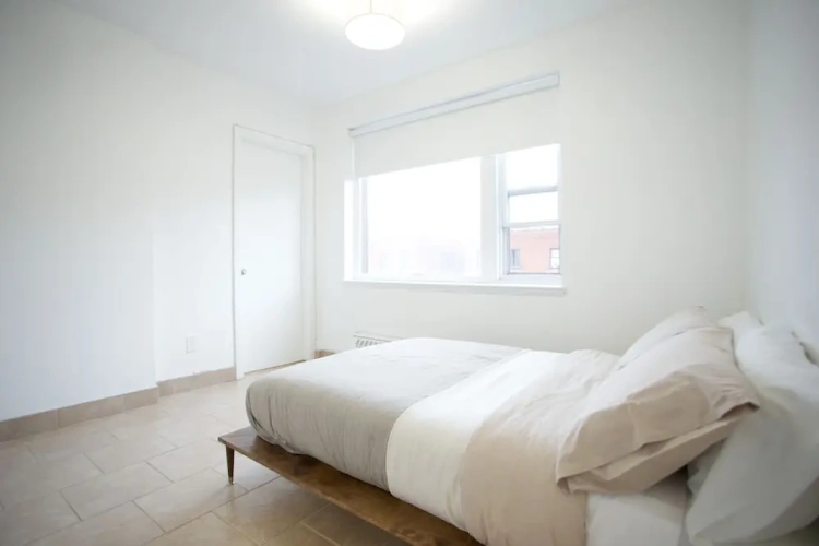Standard Suite