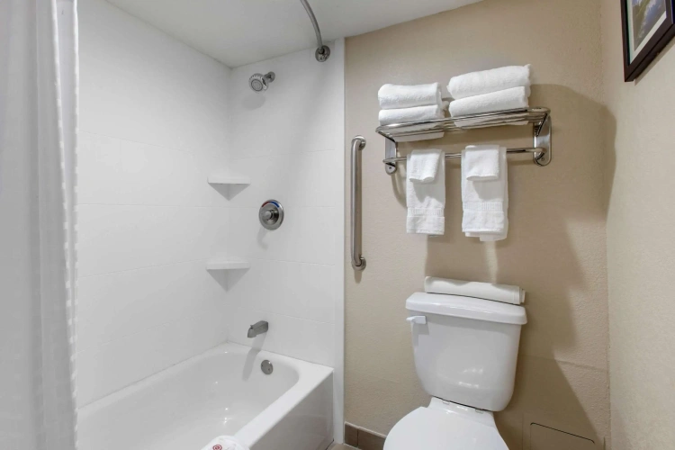 Quadruple Suite