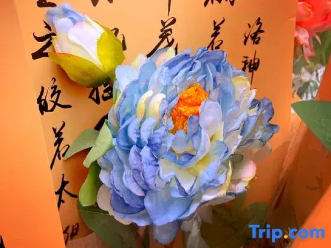 Joyful Nest Luoyang