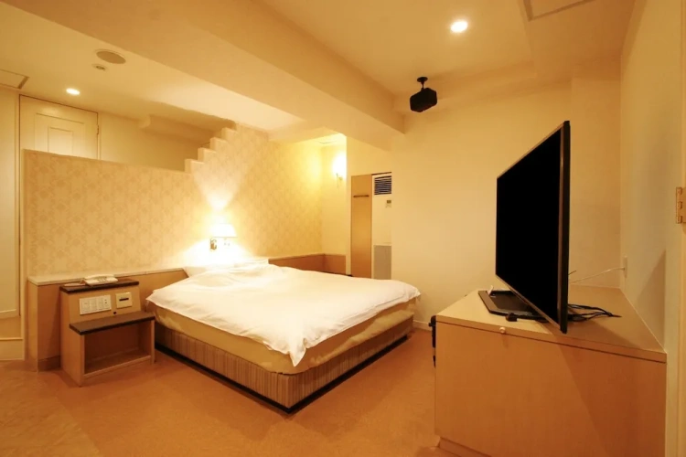 1 Bedroom Standard Double room