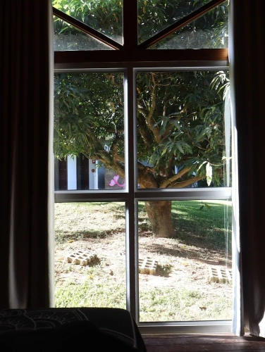 1 Bedroom Classic Studio with garden view