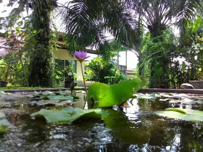 1 Bedroom Bungalow with view