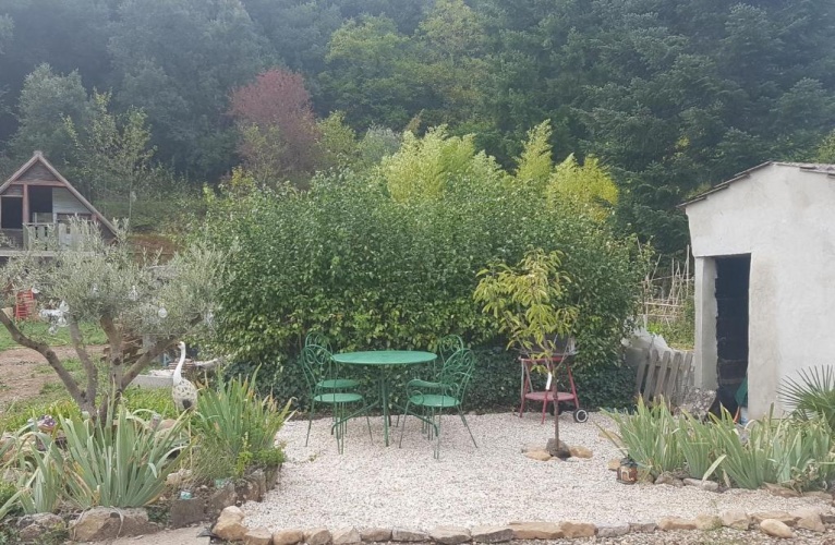 Standard Double room with garden view