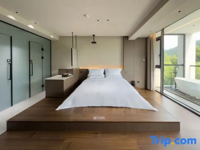 Standard Double room with balcony and with mountain view