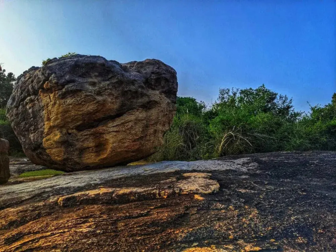 Yala Jungle Haven