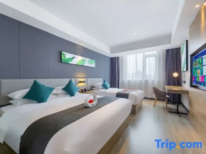 Standard Double room with city view