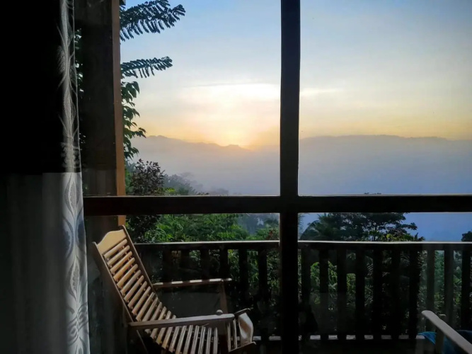 Rainforest Nature House