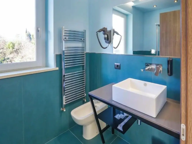 Superior Double room with balcony and with lake view