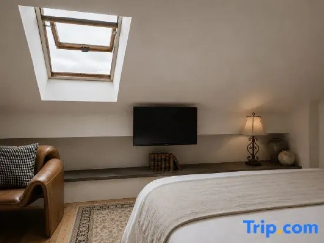 Standard Twin Family Duplex room