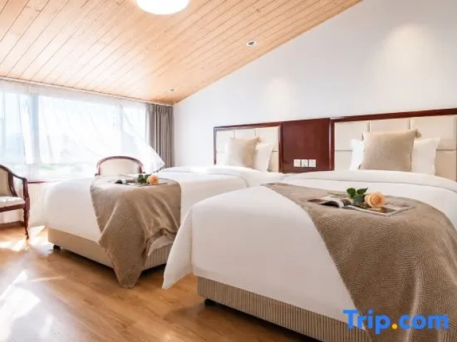 Premium Twin room