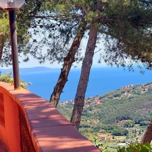 1 Bedroom Apartment with balcony