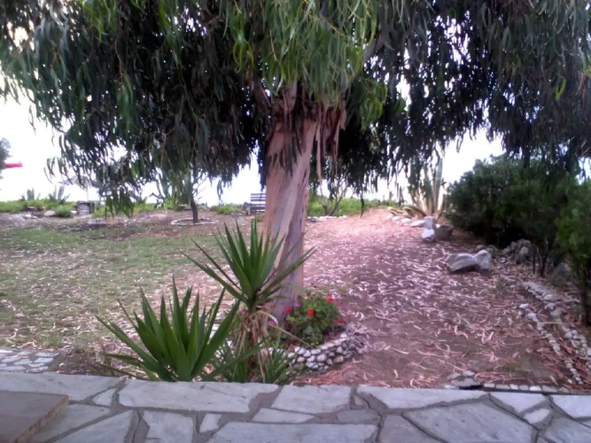 Cottage