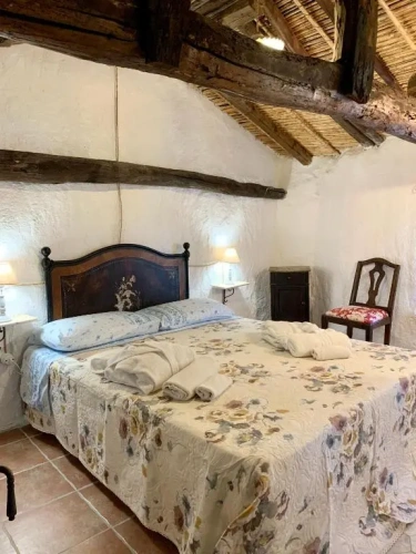 Standard Double room with pool view