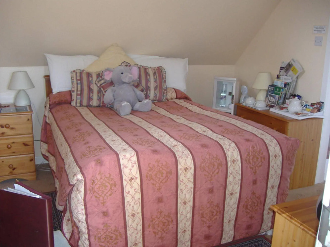 Springfield B & B
