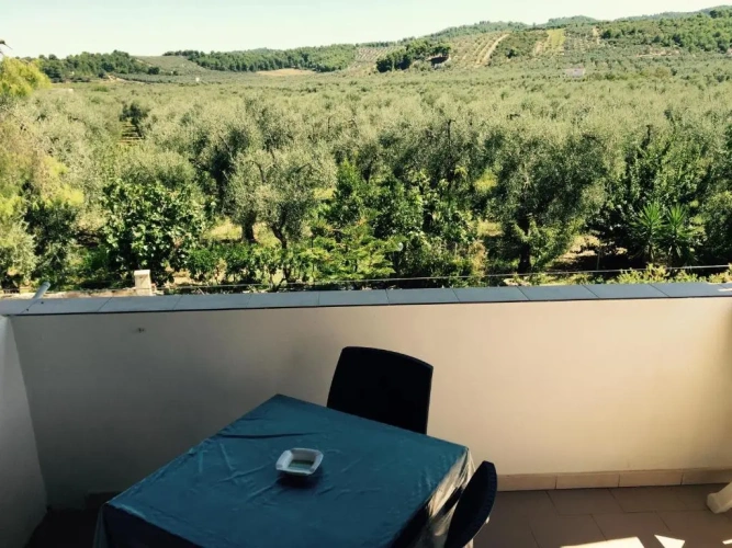 Standard Double room with balcony and with view