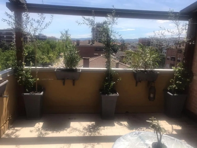 Outside