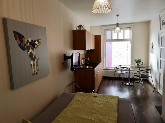 Apartment Junger-Moritz IV