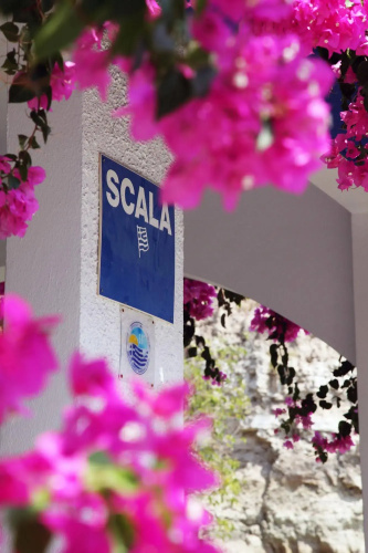 Scala Apartments